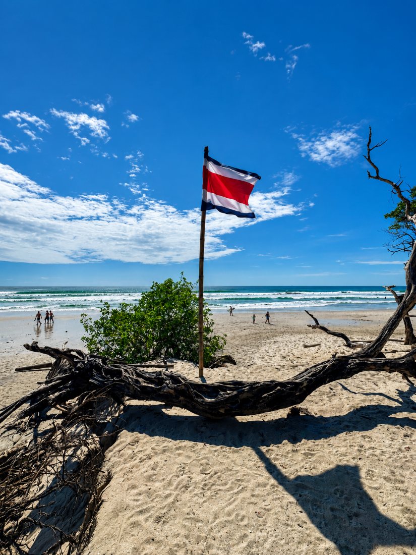 Costa Rica flag flying over driftwood on the beach